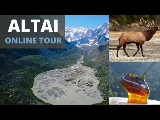 Altai online tour, best Russia places  online tourism