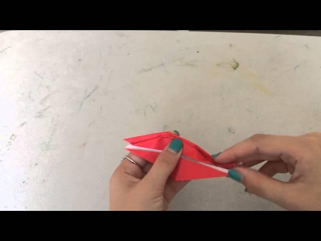 Alexias Video Tutorial paper Origami