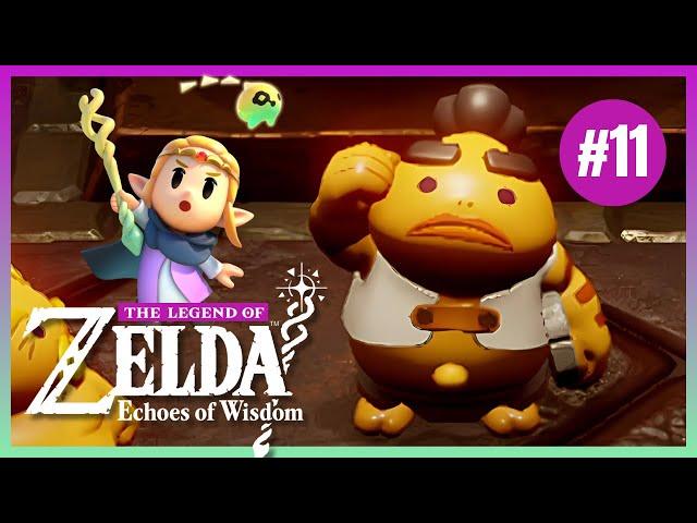 The Legend of Zelda Echoes of Wisdom Part 11 | Gameplay Walkthrough COMPLETE Playthrough | Full Game