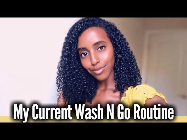 MY CURRENT WASH N GO ROUTINE | Natural Curly Hair | Lydia Tefera