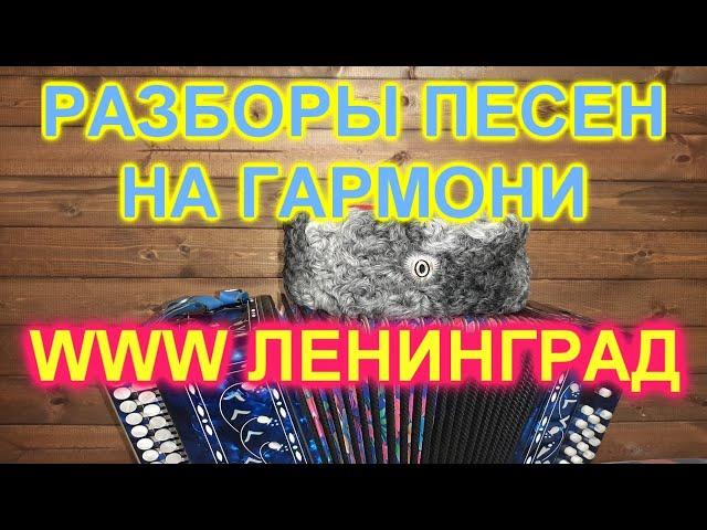 РАЗБОР ПОД ГАРМОНЬ WWW ЛЕНИНГРАД!