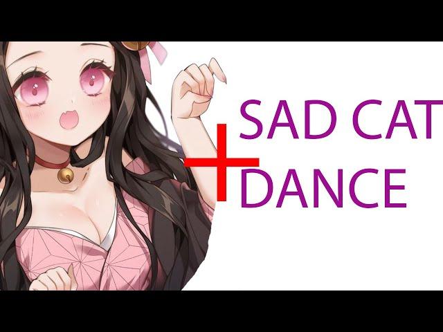 SAD CAT DANCE  NEZUKO KAMADO  Demon Slayer Season 3 SAD CAT DANCE NEZUKO KAMADO