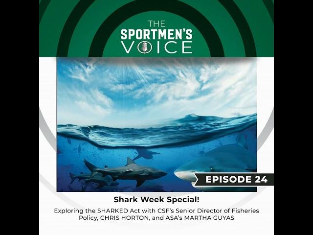 Episode 24 - Shark Week Special: Exploring the SHARKED Act with CSF Senior Director of Fisheries ...