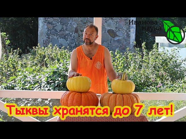 ТЫКВЫ ХРАНЯТСЯ ДО 7 ЛЕТ! Что делать с недозрелой тыквой. После этого рецепта вы полюбите тыкву!