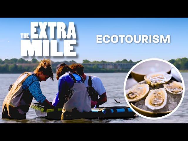 How 2.5 Million Pounds of Oyster Shells Are Restoring the NY Harbor | The Extra Mile