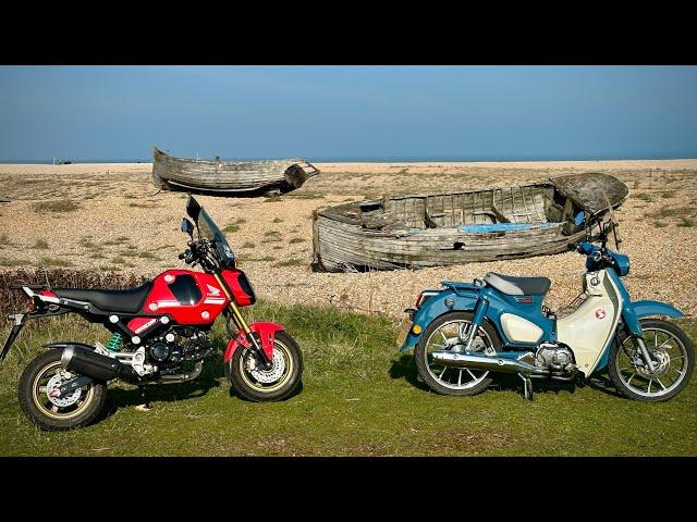 Honda Supercub c125 versus Honda msx Grom