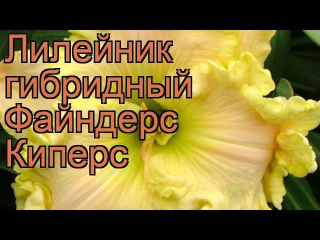 Лилейник гибридный Файндерс Киперс  обзор: как сажать, рассада лилейника Файндерс Киперс