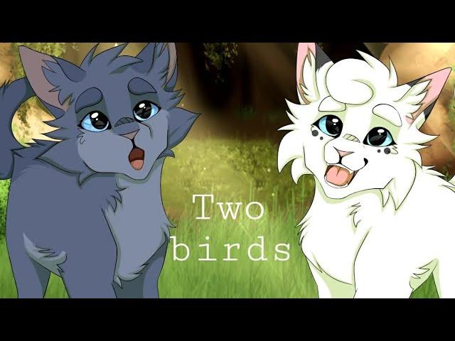 Two birds- Коты Воители [ Синяя Звезда и Белогривка ] Клип