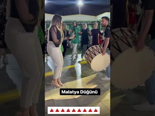 Malatya Halayı (ABONE OL) #cityorganizasyon #youtube #fyp #halay #tiktok #düğün #shorts #kına