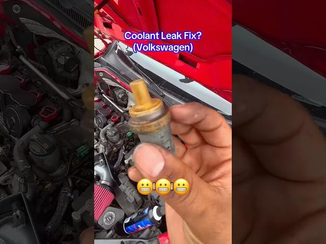 Volkswagen Coolant Leak Fix? #volkswagen #vw #vdub #coolantleak #automotive #mechanic