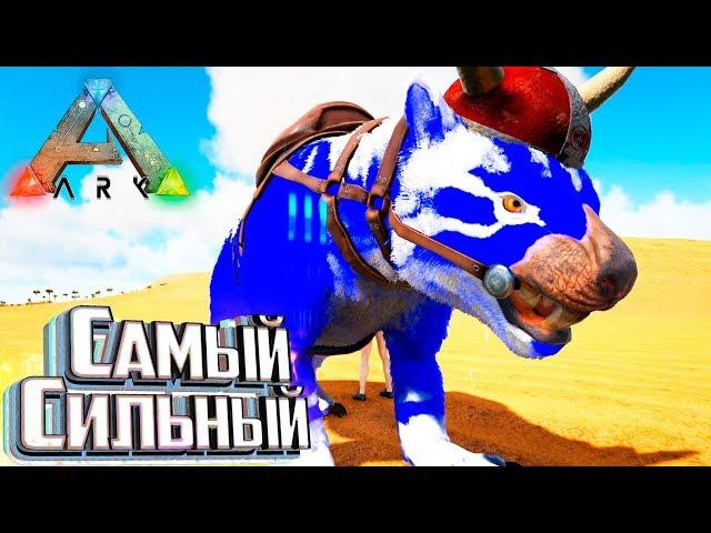 СУМЧАТЫЙ УБИЙЦА БОССОВ - Pugnacia ARK Survival Evolved #11