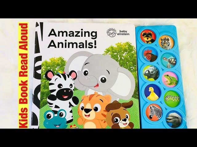 Kids Book Read Aloud: Amazing Animals Sound Book| Kids Story Time| Book Showing| Kids Learning Video