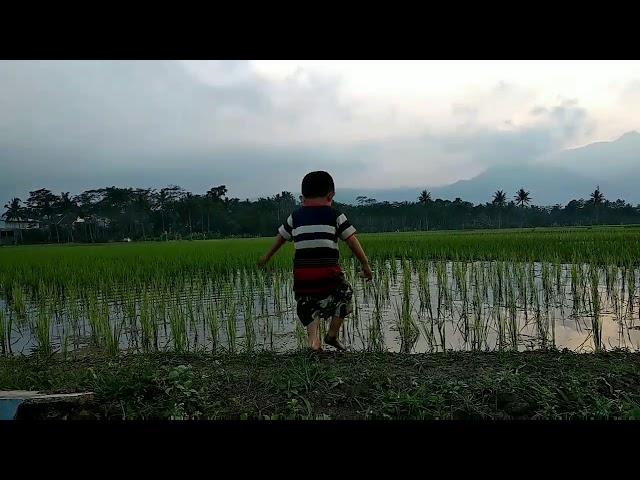 Ipang lazuardi - Anugrah alam Indonesia (unofficial video)