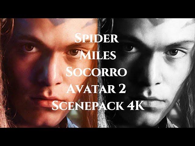 Spider "Miles" Socorro | Avatar 2: The Way Of Water | Scenepack | 4K