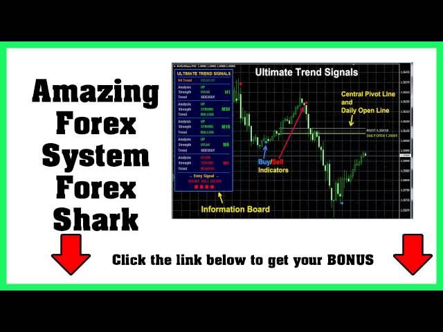 [NEW] Forex Shark I Forex Shark Review