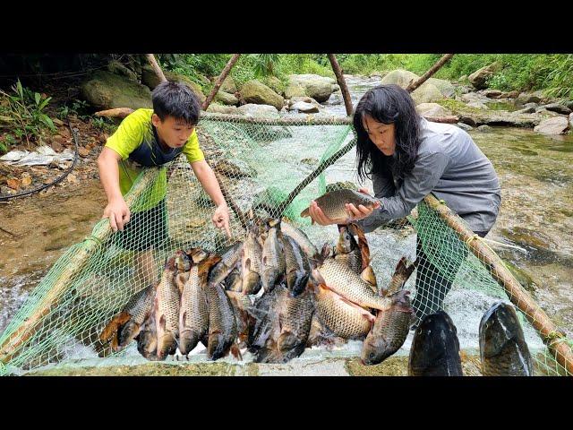 Orphans Make fish traps under the waterfall, Harvest big carp to sell - Fish trapping techniques