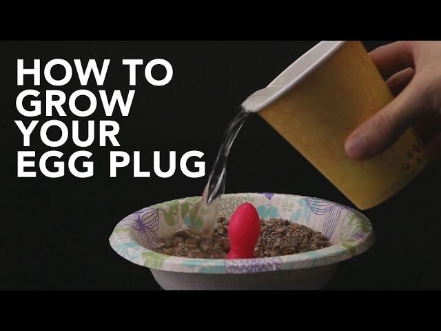 Egg Plug Growth Guide