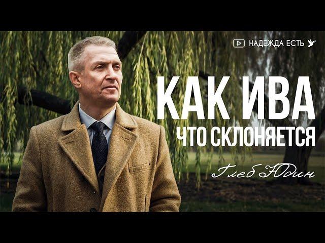 ЭТА Песня ТРОГАЕТ ДУШУ | Как ива что склоняется | Глеб Юдин