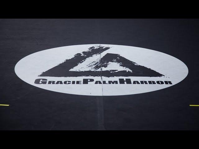 Gracie Palm Harbor Jiu Jitsu
