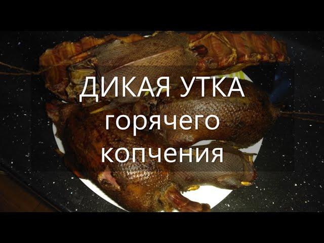 Дикая утка горячего копчения, а также свиные ребрышки и нутрия горячего копчения