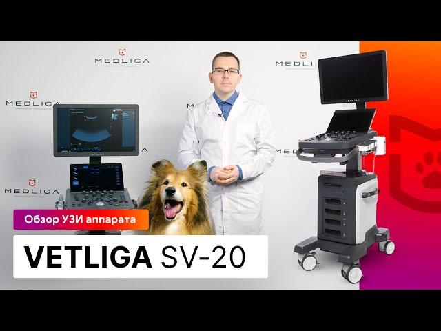 Обзор ветеринарного УЗИ аппарата VETLIGA SV-20