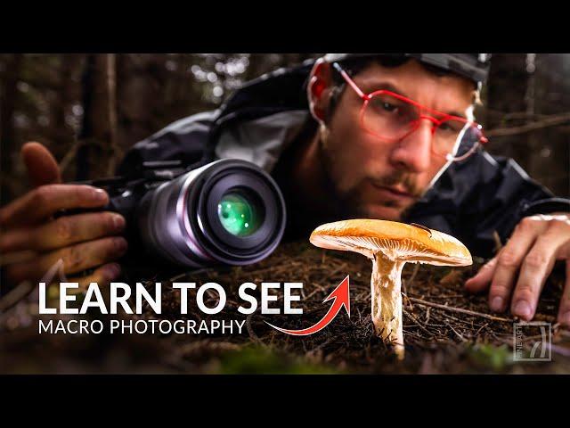 UNLOCKING the ART of SEEING - Mushroom Photography with my Canon RF 100mm Macro Lens