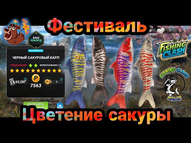 Фестиваль Цветения Сакуры ...Куча карпов / Специальная рыба / Fishing Clash: Реальная рыбалка