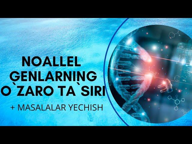 noallel genlarning o'zaro ta'siri KOMPLIMENTARIYA | EPISTAZ | POLIMERIYA | BIOLOGIYA | UZBEK