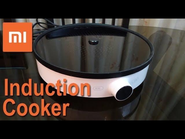 Xiaomi DCL01CM Precise Control Induction Cooker Review - very advanced