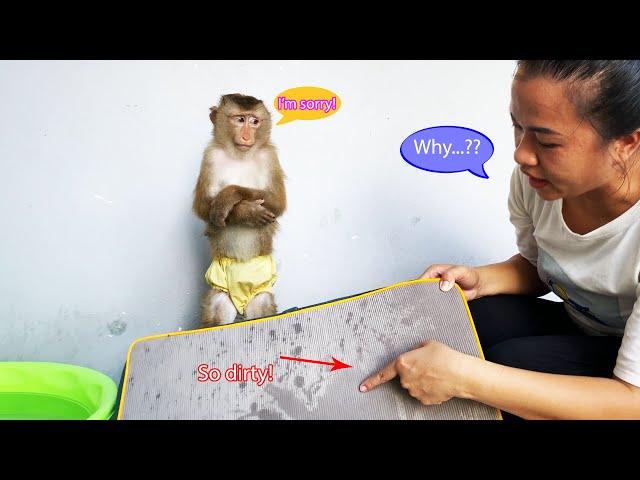 Monkey Lyly is embarrassed because she accidentally soiled the bed and her mother's reaction