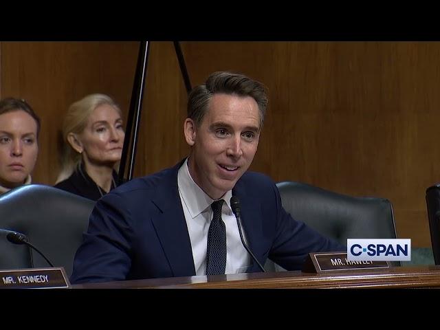 Sen. Josh Hawley to Visa & Mastercard: "This is classic monopolistic behavior."