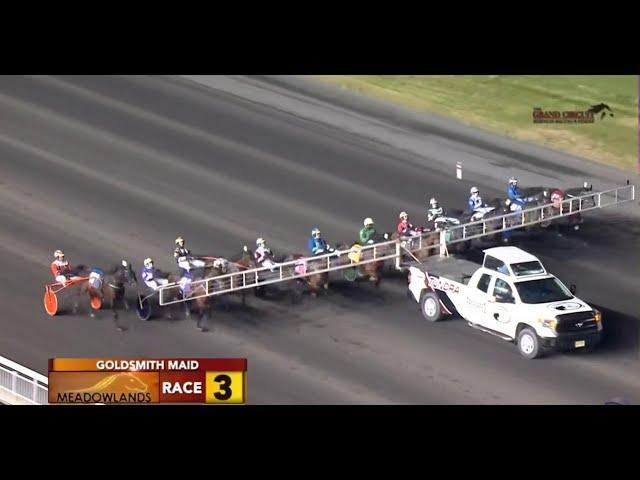 Meadowlands Racetrack - $451,800 GOLDSMITH MAID 2 Year Old Fillies  November 21, 2020