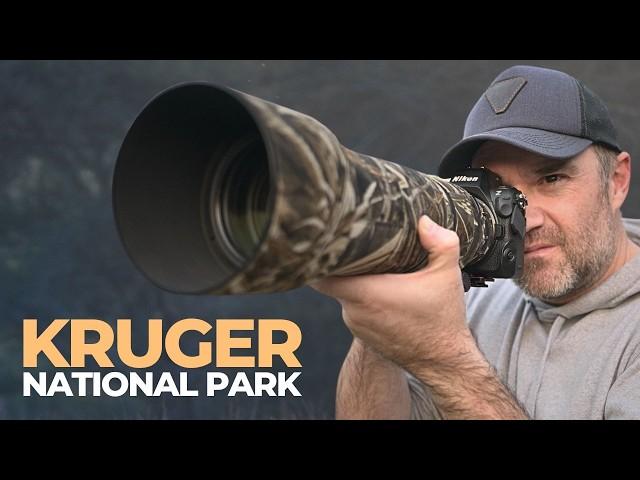 The Art of Wildlife Photography in Kruger National Park