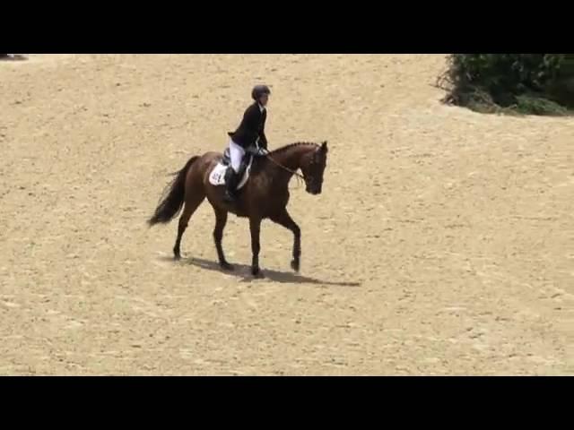 Video of CARLSON V ridden by MELISSA G WATT from ShowNet!