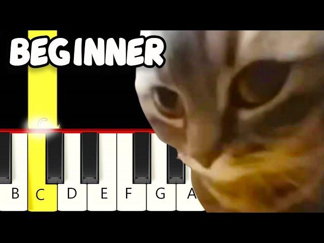 Chipi Chipi Chapa Chapa Dubi Dubi Daba Daba Meme - Fast and Slow (Easy) Piano Tutorial - Beginner