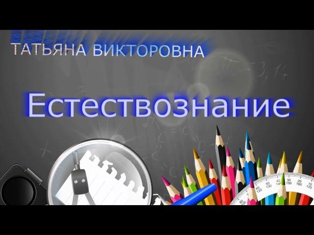 Естествознание, 4 класс,  Малые космические тела