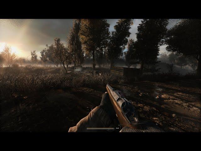 Can 17 year old S.T.A.L.K.E.R. game look any better? New Anomaly Custom looks phenomenal!