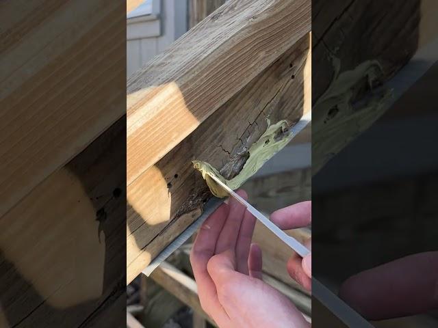 Quick Repair for Exterior Wood Rot 🪵 [Bondo Wood Filler]