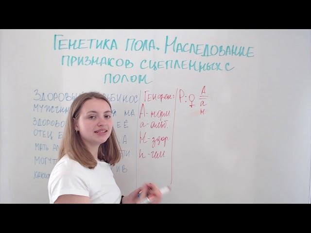 Генетика пола. Наследование признаков сцепленных с полом