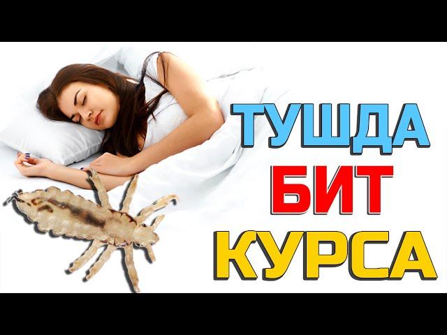 Тушда Бит курса - Tushda Bit ko'rsa