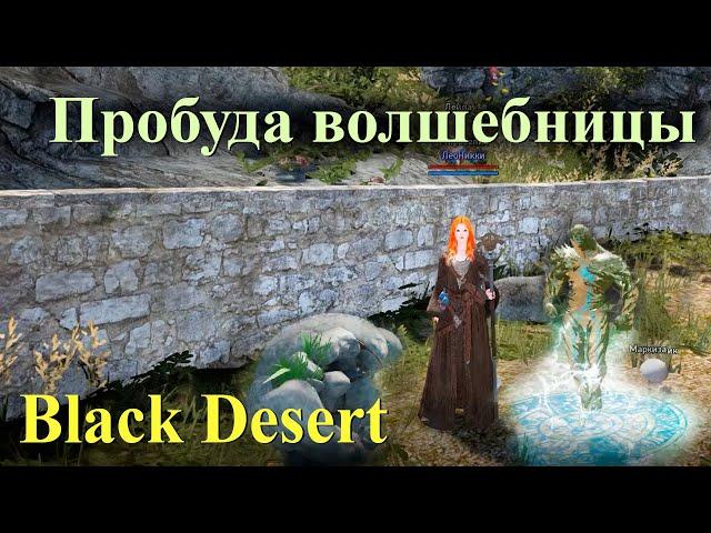 Пробуждение волшебницы Black Desert