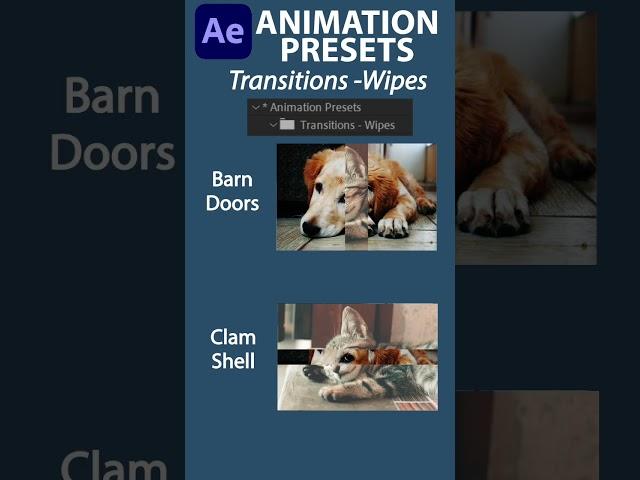 Barn Doors and Clam Shells Transition Wipes of in Adobe After Effects Animation Presets #afterefects