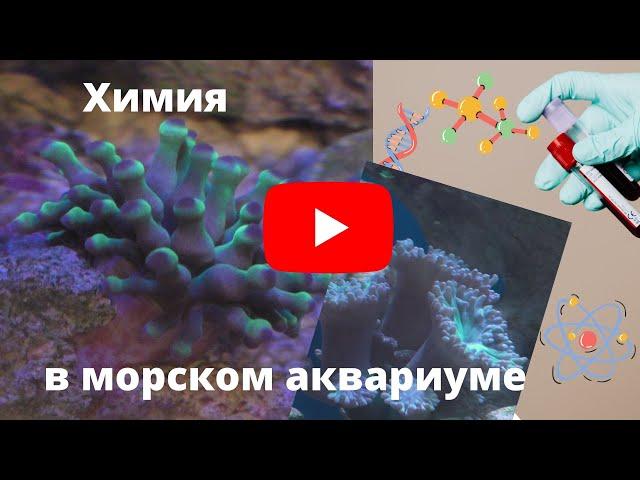 Химия в морском аквариуме