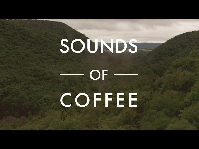 Sounds of Coffee