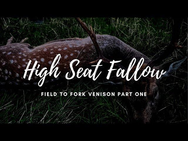 High Seat Fallow Deer Management - Hunter Gatherer Cooking HGC