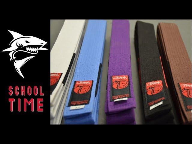 Jiu-Jitsu BJJ Belts Explained