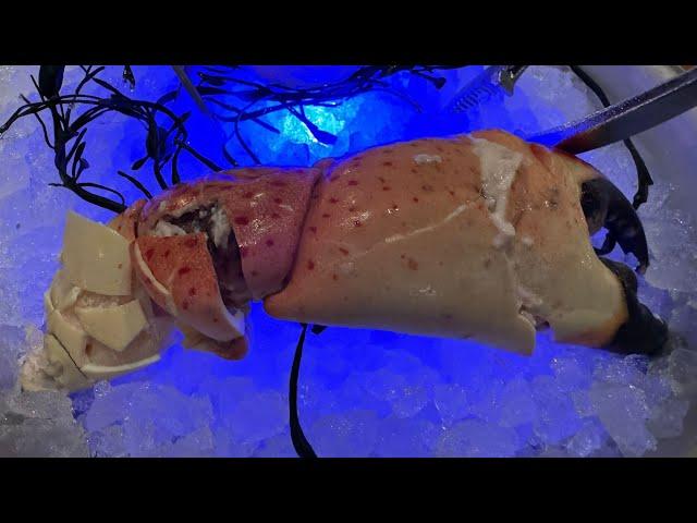 PB Catch 'Colossal Stone Crab Claws' Palm Beach, FL Dec. 2024