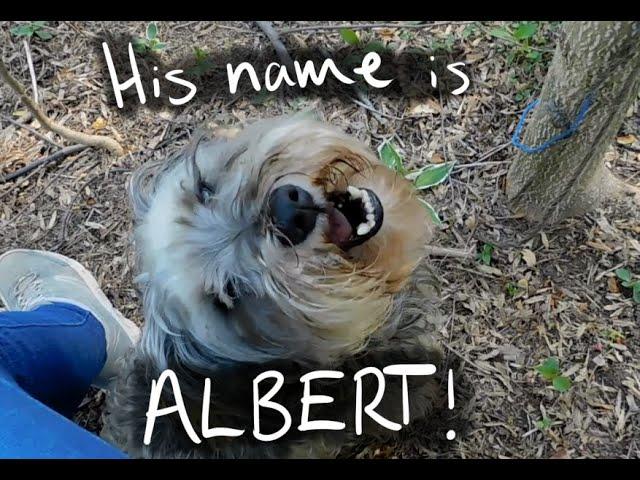 His Name is Albert!
