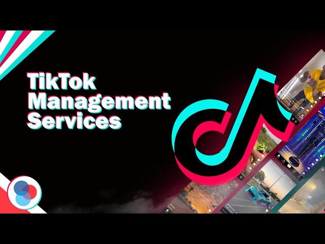 TikTok Management Services - RedSocial