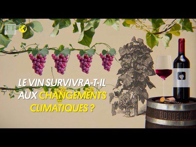 Le vin survivra-t-il aux changements climatiques ? 